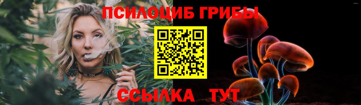 Галлюциногенные грибы Cubensis  Псилоцибиновые грибы мухоморы  Вход с VPN  Черногорск 
